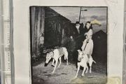 Van Morrison - Days Like This CD