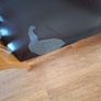 Dining table Image 6
