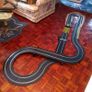 Scalextric Cruisers Race Set + Extra Track Extension Kit Image 3