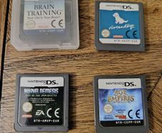 Nintendo DS Games