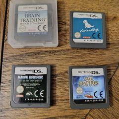 Nintendo DS Games