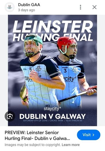 Lenister Final Tickets Premium Level