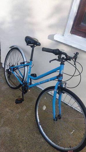 Dutch style bike