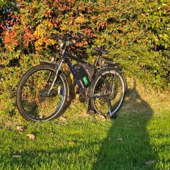 Carrera bike for sale