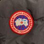 Canada Goose Image 5