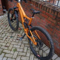 Orbea occam