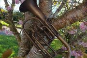antique brass trumpet butler haymarket London &amp; Dublin
