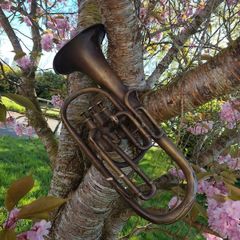 antique brass trumpet butler haymarket London & Dublin