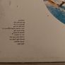 The Go - Go's - ( Belinda Carlisle Jane Weidlin) - Vinyl Records + Hundreds More Image 4
