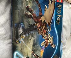 Harry potter horntail dragon