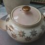 Sadler Starburst Pink & Gold Trim Teapot Image 2