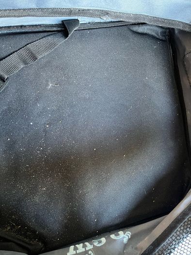 Dog car seat
