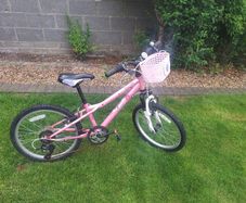 Girls Bike 20"