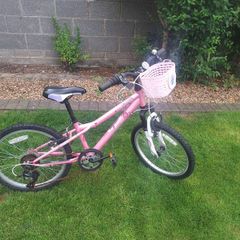 Girls Bike 20"