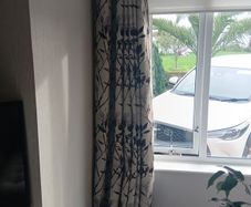 Curtains and Cushions