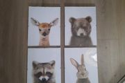 4 glass framed canvas pictures