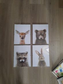 4 glass framed canvas pictures