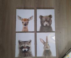 4 glass framed canvas pictures
