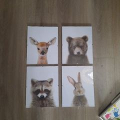 4 glass framed canvas pictures