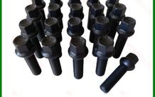 20 x New 47mm Extended Bolts Fit Audi, VW, Seat, Skoda M14x1.5 (BC, BCB) Delivery - Delivery