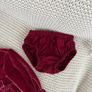 Gorgeous Carter's Baby velvet clothes Image 5