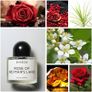 Rose of no man's land by Byredo Image 2