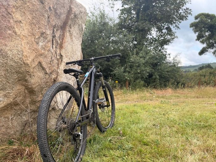 Orbea Onna 50