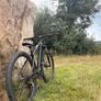Orbea Onna 50 Image 4