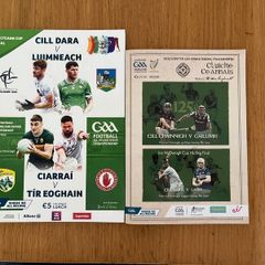 Kildare Joe McDonagh & Tailteann Cup GAA hurling football match day programmes