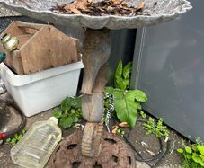 bird bath