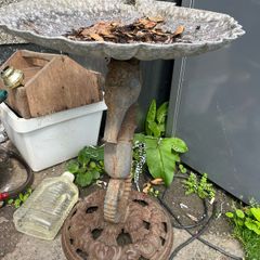 bird bath
