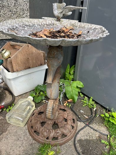 bird bath