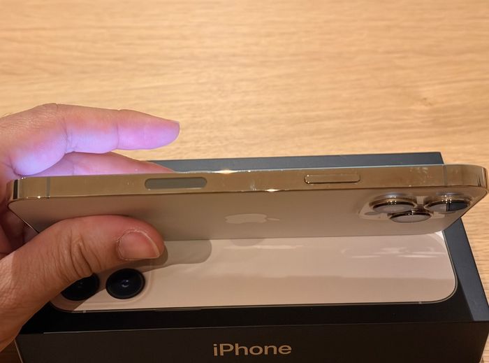 iPhone 13 Pro Max 256GB Gold