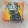 Eoin O'Connor cushions new with tags Image 2
