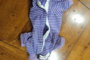 Cat recovery suit