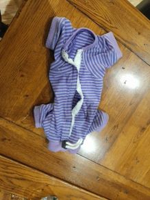 Cat recovery suit