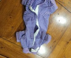 Cat recovery suit