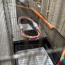 cage ( birds/parrots) Image 4