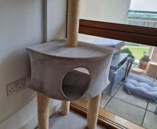 Cat tree