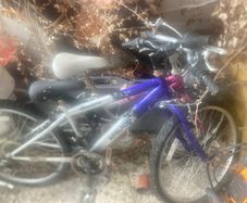 Bikes and Shed Contents