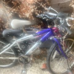 Bikes and Shed Contents