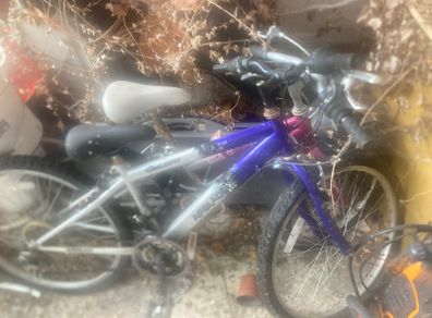 Bikes and Shed Contents