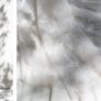 wedding Image 2