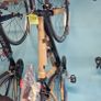 adult bikes Image 6