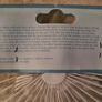 Shower & Bath Anti Slip Sea Shells Image 5
