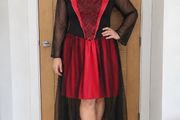 Ladies Halloween Costume