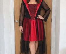 Ladies Halloween Costume