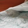 BNWT - Ted Baker lace bodice dress UK 12 Image 8