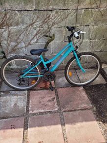 Girls Orbital Bike