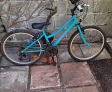 Girls Orbital Bike